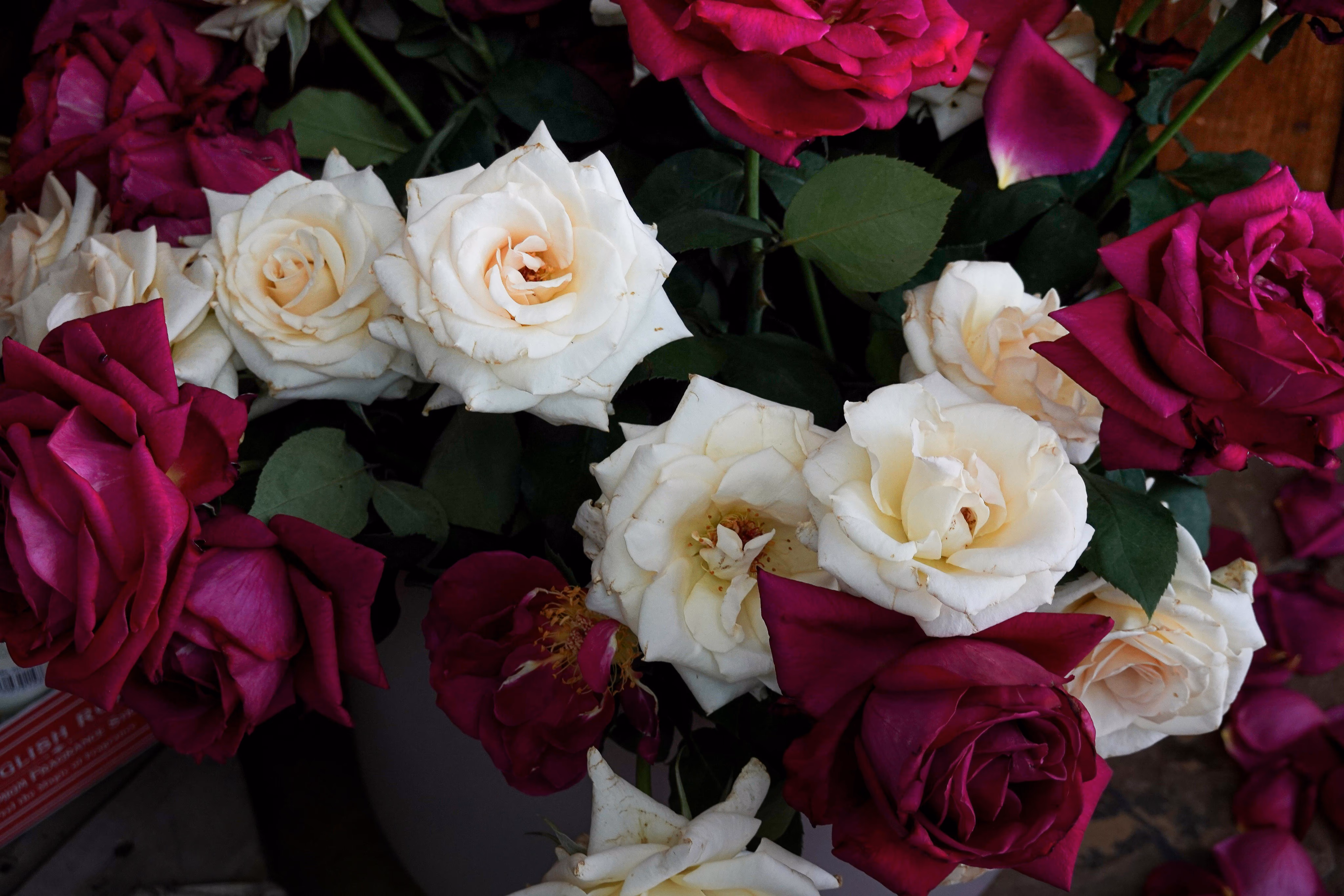 Composición floral De La Rosa